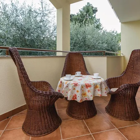 Beautiful In With Kitchen Apartment